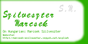 szilveszter marcsek business card